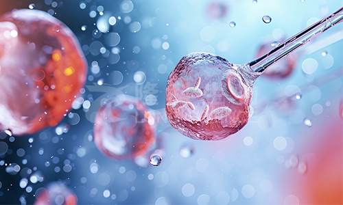 细胞实验服务：如何通过外包服务提升您的研究效率与质量