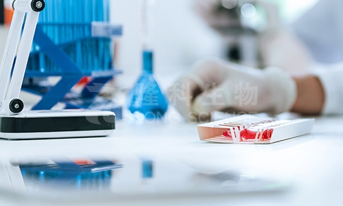 16S rRNA基因测序技术服务