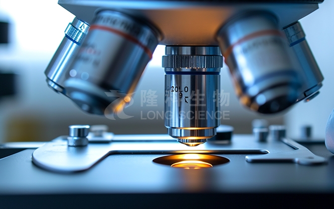 Von Kossa染色实验技术服务