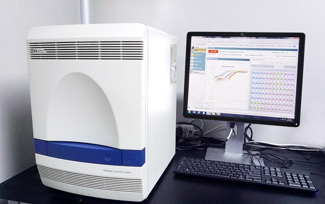 原代细胞分离培养及鉴定