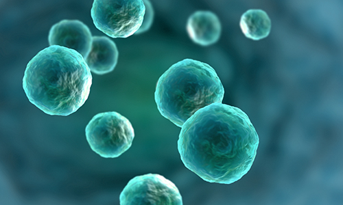 细胞毒性实验目的是什么?