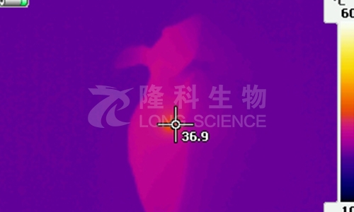 常见的小动物活体成像技术