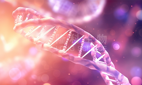 甲基化检测的原理和意义