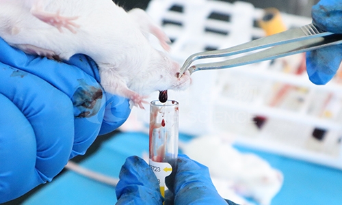 动物采血的种类有哪些？