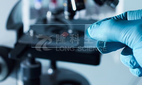 石蜡切片的注意事项