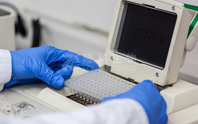 WB结果飘忽不定？90%的人踩过这3个内参抗体巨坑！